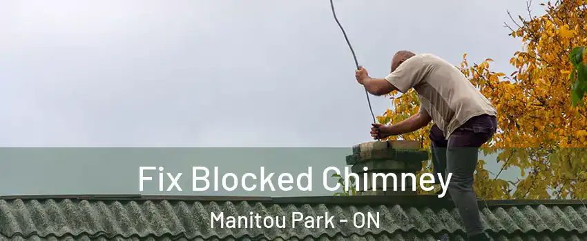  Fix Blocked Chimney Manitou Park - ON
