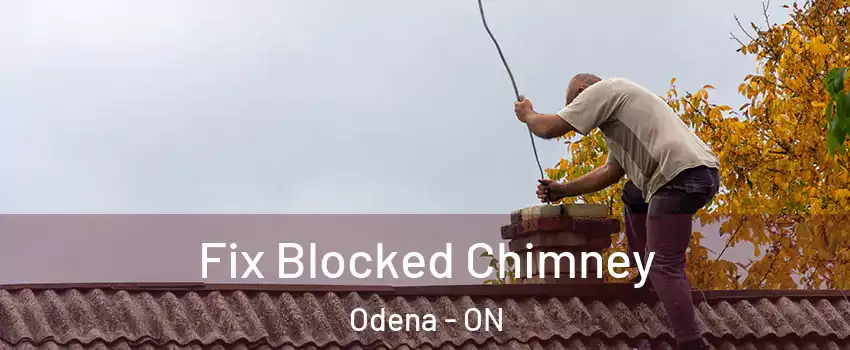  Fix Blocked Chimney Odena - ON