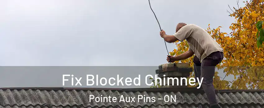  Fix Blocked Chimney Pointe Aux Pins - ON