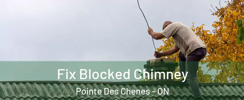  Fix Blocked Chimney Pointe Des Chenes - ON