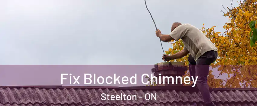  Fix Blocked Chimney Steelton - ON