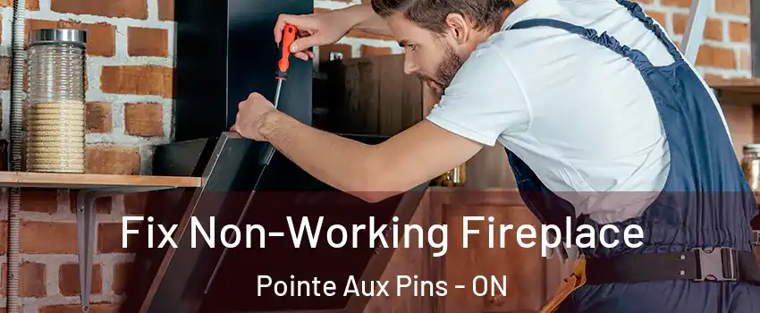  Fix Non-Working Fireplace Pointe Aux Pins - ON