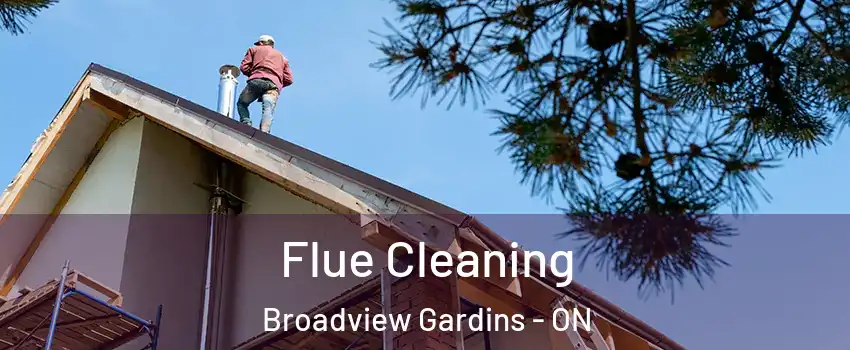  Flue Cleaning Broadview Gardins - ON
