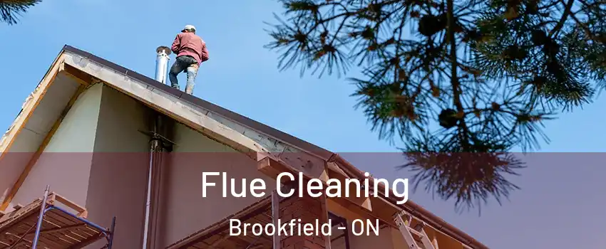 Flue Cleaning Brookfield - ON