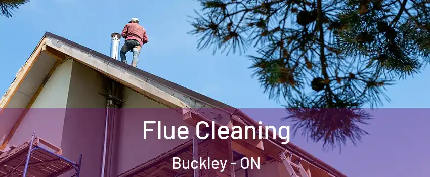  Flue Cleaning Buckley - ON