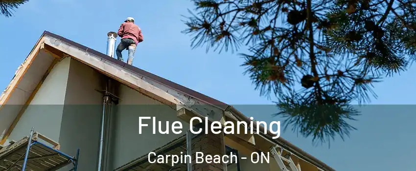  Flue Cleaning Carpin Beach - ON