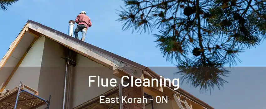  Flue Cleaning East Korah - ON