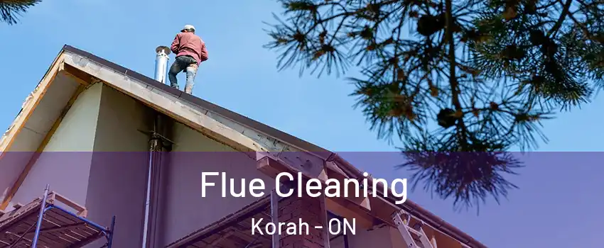  Flue Cleaning Korah - ON