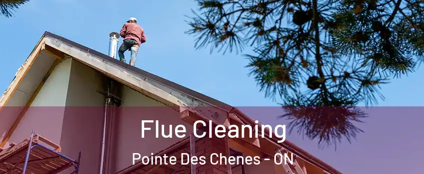  Flue Cleaning Pointe Des Chenes - ON