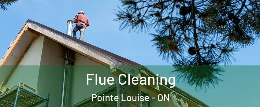  Flue Cleaning Pointe Louise - ON