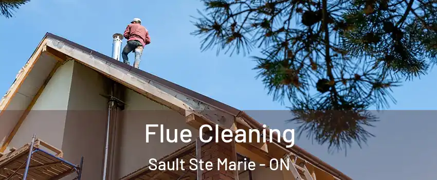  Flue Cleaning Sault Ste Marie - ON
