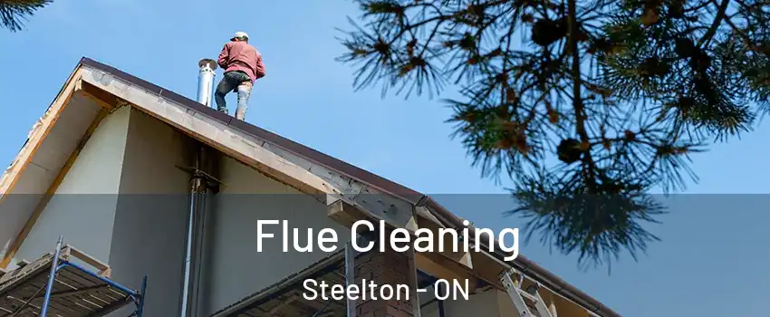  Flue Cleaning Steelton - ON