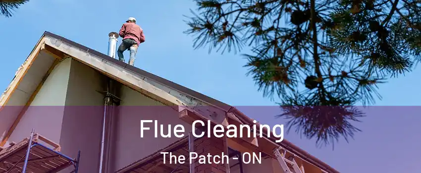  Flue Cleaning The Patch - ON