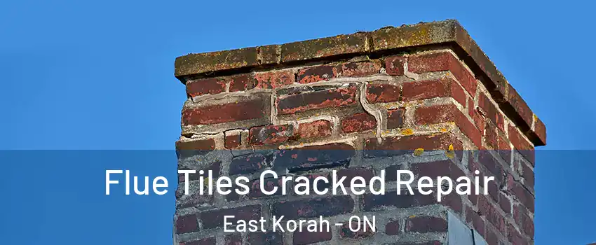  Flue Tiles Cracked Repair East Korah - ON