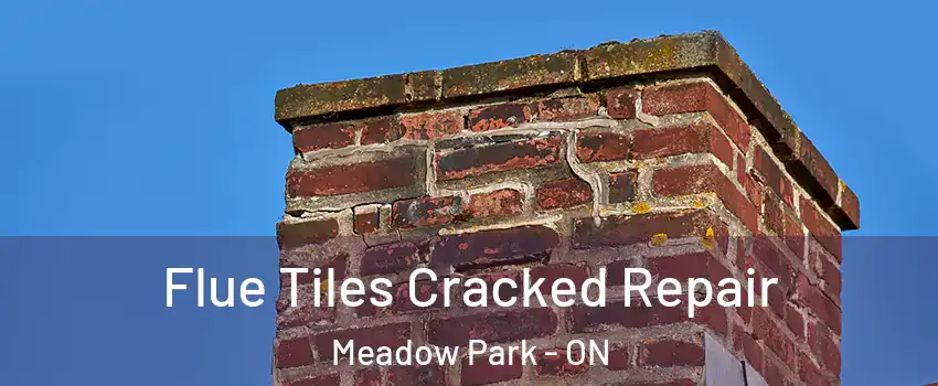  Flue Tiles Cracked Repair Meadow Park - ON
