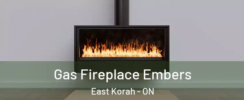  Gas Fireplace Embers East Korah - ON
