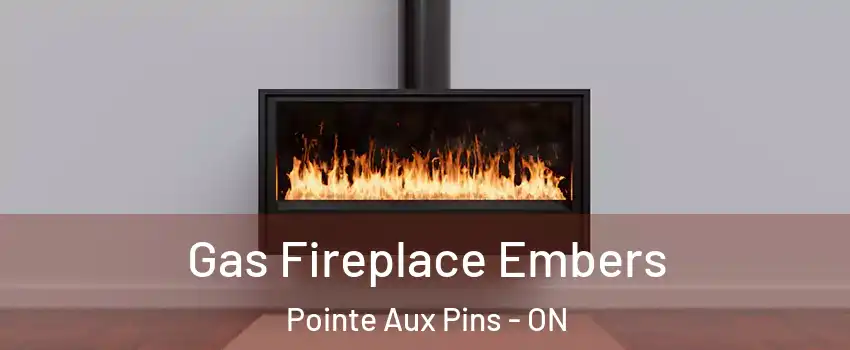  Gas Fireplace Embers Pointe Aux Pins - ON