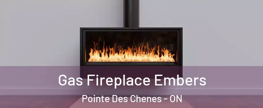  Gas Fireplace Embers Pointe Des Chenes - ON