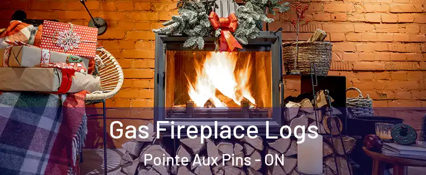  Gas Fireplace Logs Pointe Aux Pins - ON
