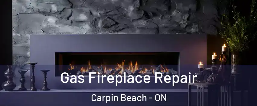  Gas Fireplace Repair Carpin Beach - ON