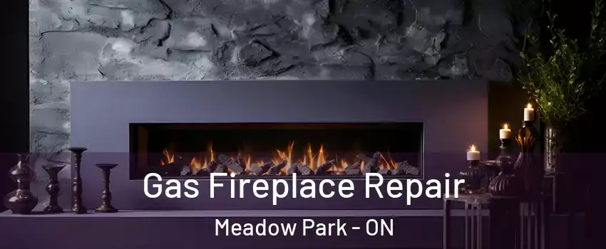  Gas Fireplace Repair Meadow Park - ON