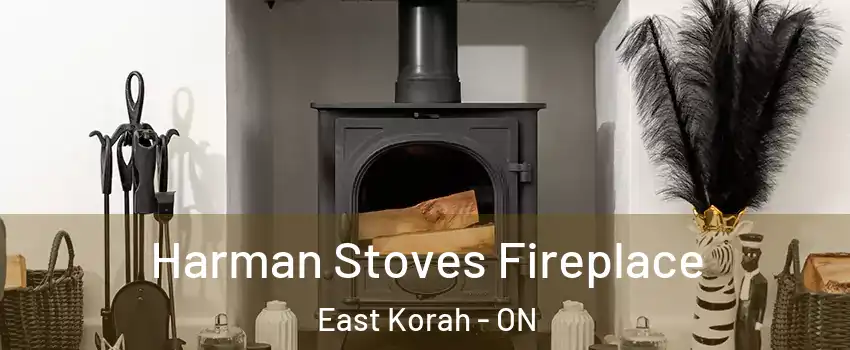  Harman Stoves Fireplace East Korah - ON