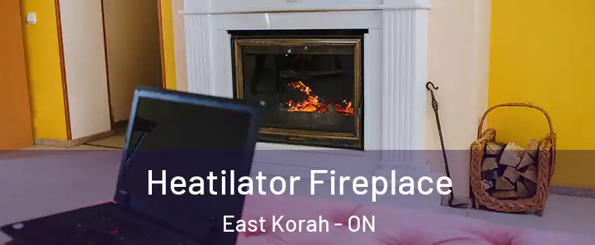  Heatilator Fireplace East Korah - ON