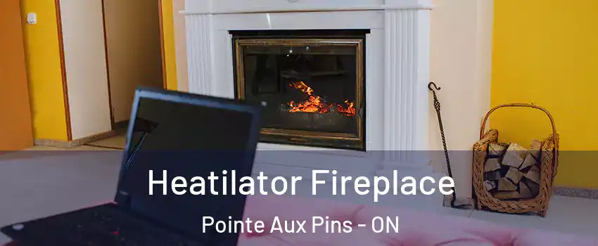  Heatilator Fireplace Pointe Aux Pins - ON
