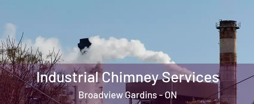  Industrial Chimney Services Broadview Gardins - ON