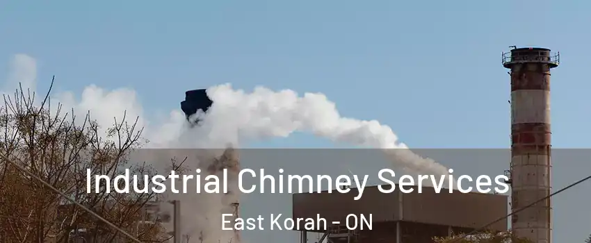  Industrial Chimney Services East Korah - ON