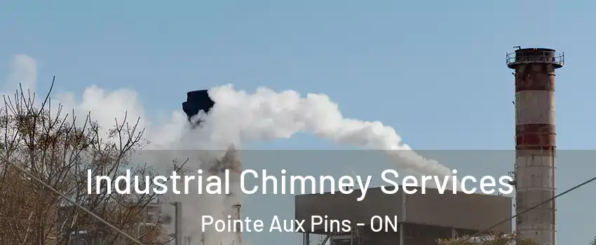  Industrial Chimney Services Pointe Aux Pins - ON