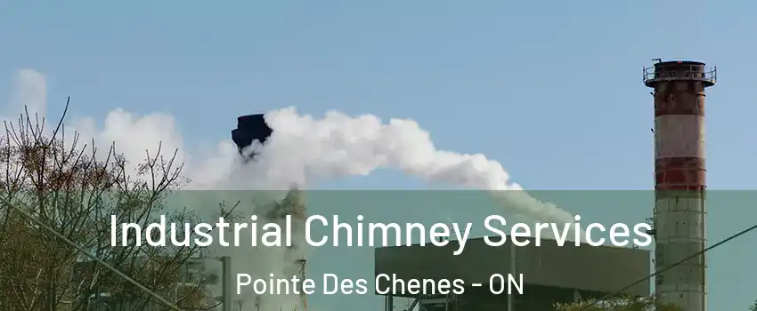  Industrial Chimney Services Pointe Des Chenes - ON