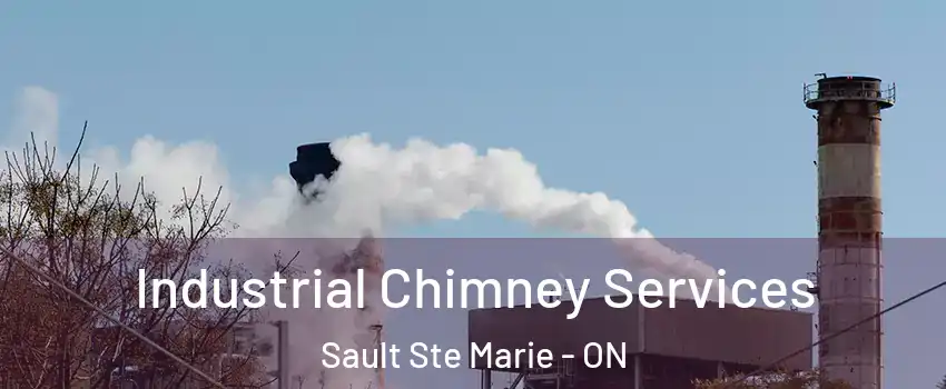  Industrial Chimney Services Sault Ste Marie - ON