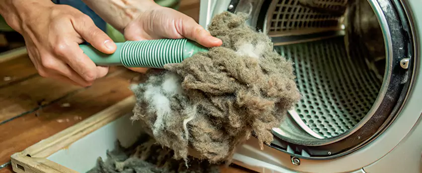 Best Dryer Lint Removal Company in Carpin Beach, Ontario