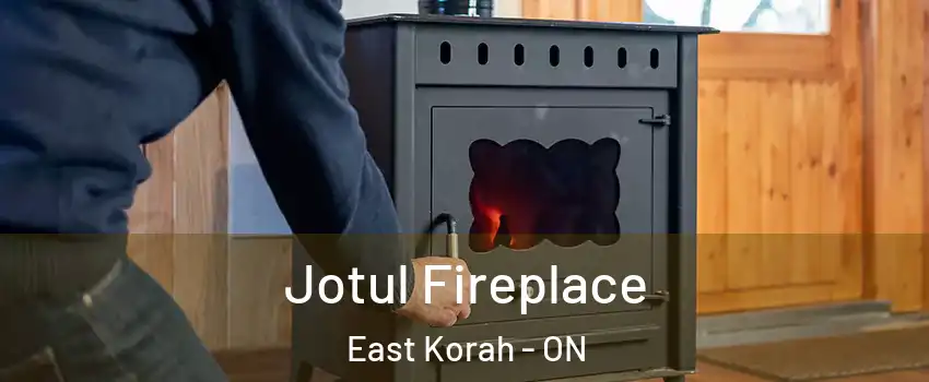  Jotul Fireplace East Korah - ON
