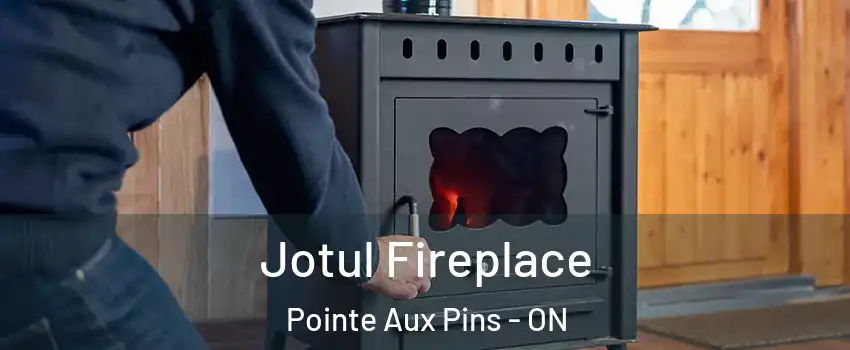  Jotul Fireplace Pointe Aux Pins - ON