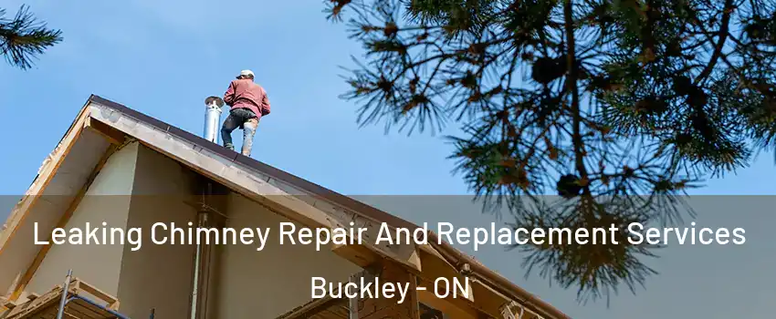  Leaking Chimney Repair And Replacement Services Buckley - ON