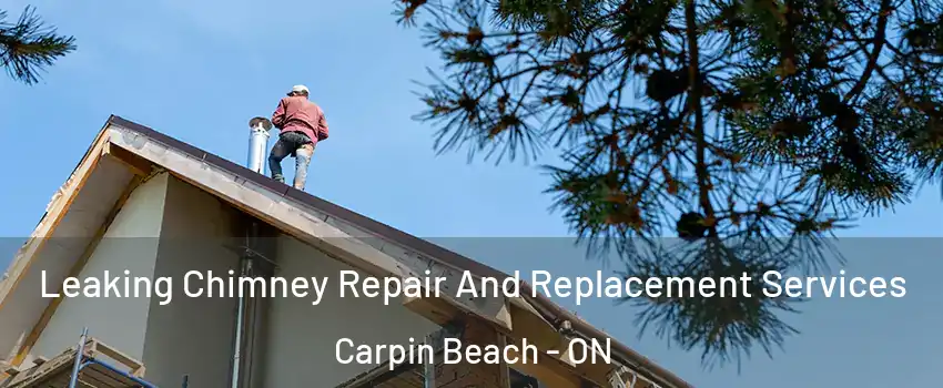  Leaking Chimney Repair And Replacement Services Carpin Beach - ON