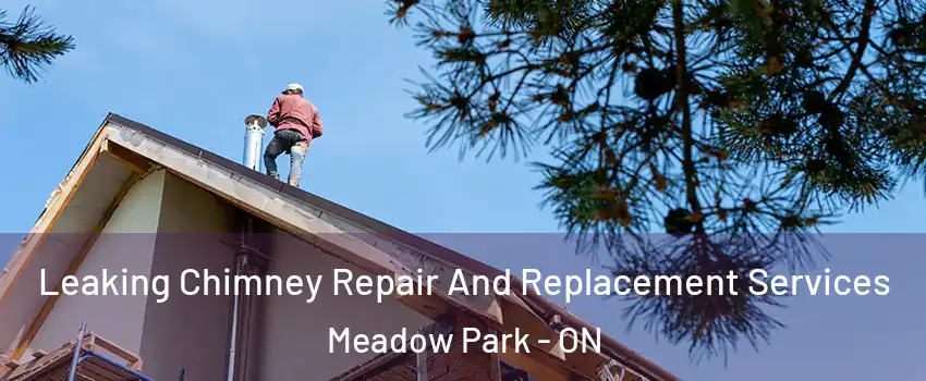  Leaking Chimney Repair And Replacement Services Meadow Park - ON