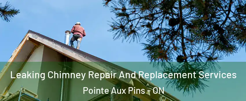  Leaking Chimney Repair And Replacement Services Pointe Aux Pins - ON