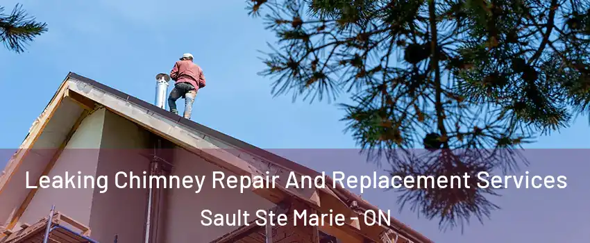  Leaking Chimney Repair And Replacement Services Sault Ste Marie - ON
