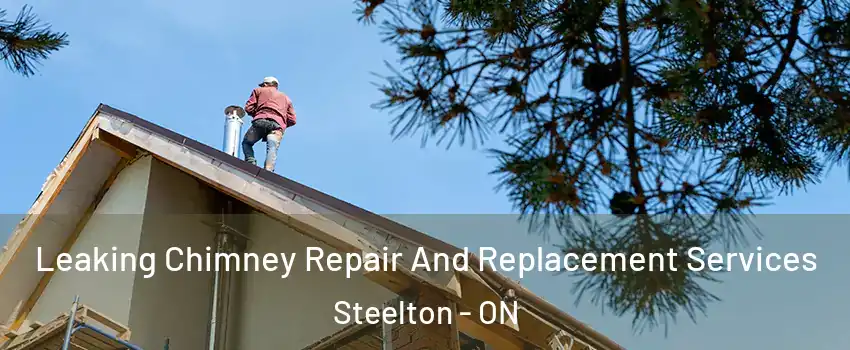 Leaking Chimney Repair And Replacement Services Steelton - ON