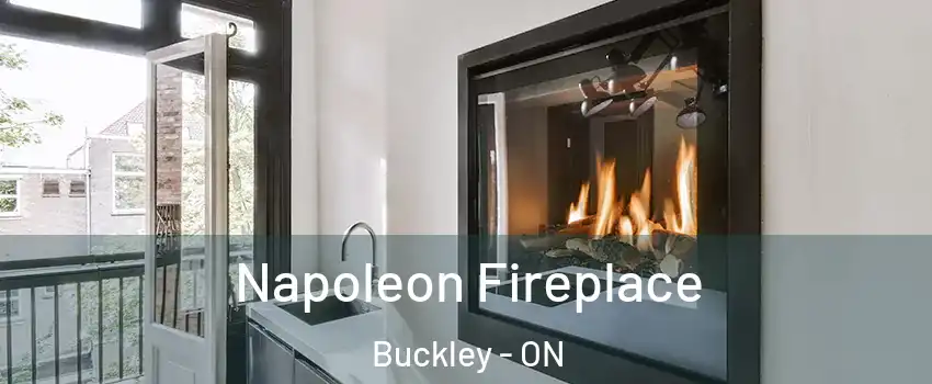 Napoleon Fireplace Buckley - ON