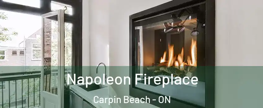  Napoleon Fireplace Carpin Beach - ON