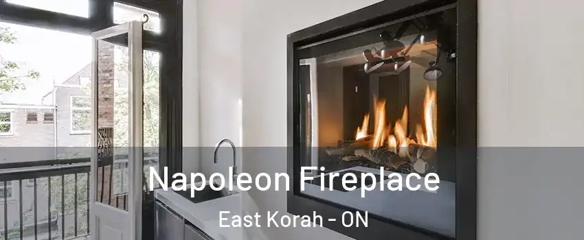 Napoleon Fireplace East Korah - ON