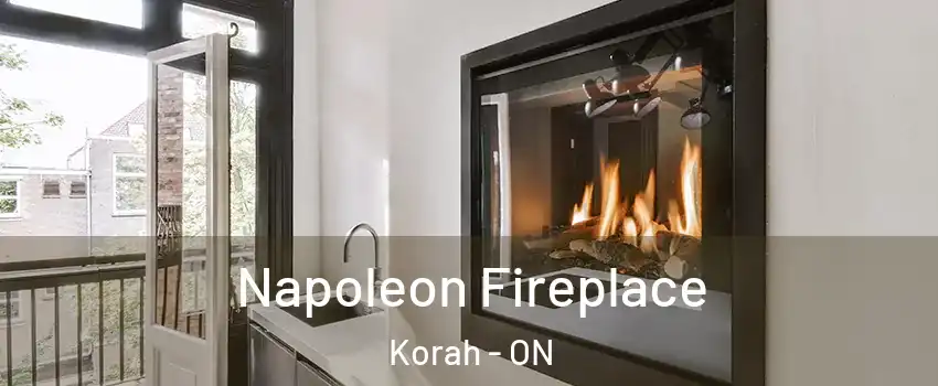  Napoleon Fireplace Korah - ON