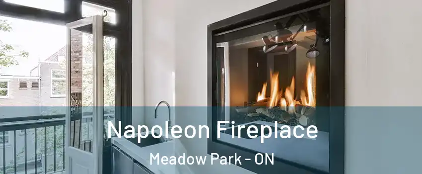  Napoleon Fireplace Meadow Park - ON