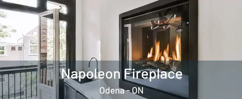  Napoleon Fireplace Odena - ON