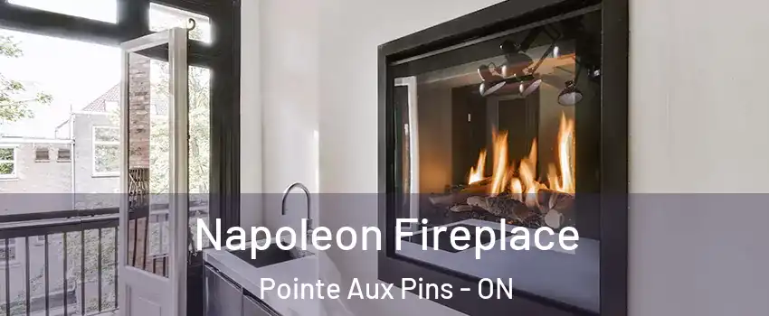  Napoleon Fireplace Pointe Aux Pins - ON