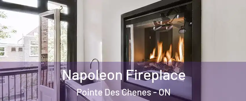 Napoleon Fireplace Pointe Des Chenes - ON